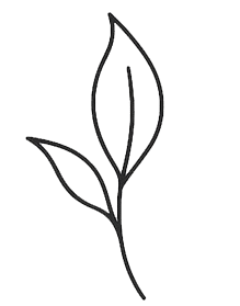 Gulshan Spa – Spa in Gulshan